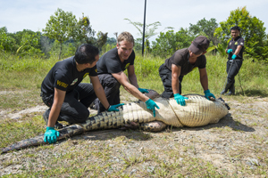 Borneo Wildlife Warriors - SZtv