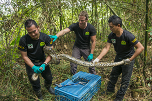 Borneo Wildlife Warriors - SZtv