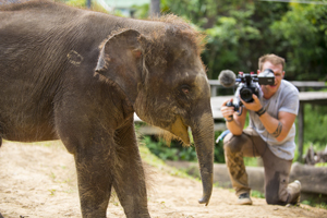Borneo Wildlife Warriors - SZtv
