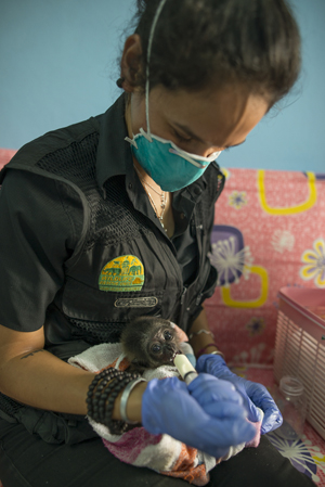 Borneo Wildlife Warriors - SZtv