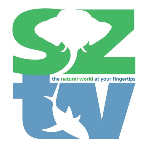 Scubazoo's SZtv