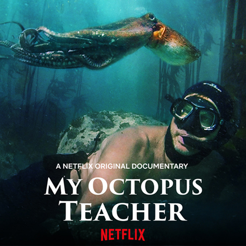 My Octopus Teacher - Netflix