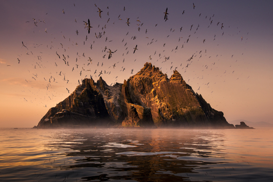 Wildscreen Festival 2018 - Nominations - Script Award