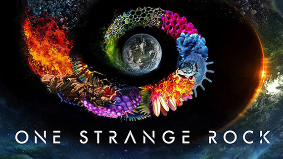 Wildscreen Festival 2018 - Nominations - Innovation Award