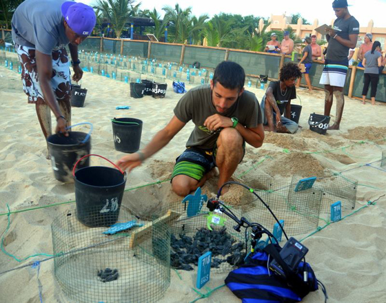 Wildscreen Festival 2018 - Nominations - Innovation Award