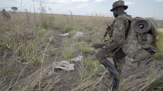 Wildscreen Festival 2018 - Nominations - Innovation Award