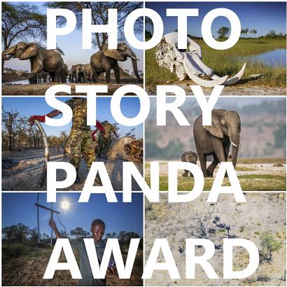 Wildscreen Photo Panda Award