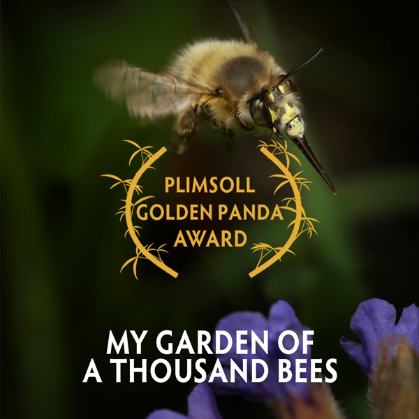 Wildscreen Festival 2022 – My Garden of a Thousand Bees 
