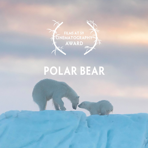 Wildscreen Festival 2022 – Polar Bear