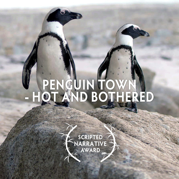 Wildscreen Festival 2022 – Penguin Town: Hot and Bothered
