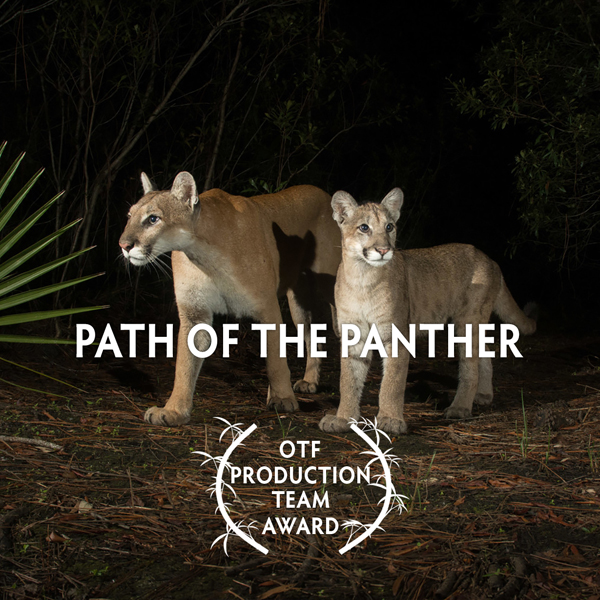 Wildscreen Festival 2022 – Path of the Panther