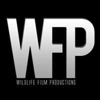 Wildlife Film Productions