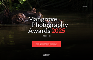 Mangrove Photography Awards