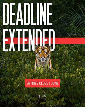 Mangrove Photography Awards