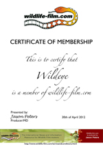 Member Certificate