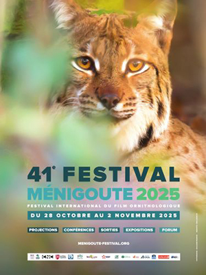 Festival de Menigoute