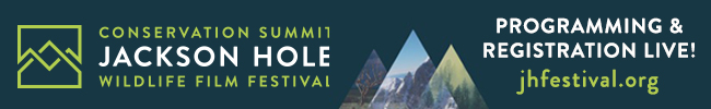 Jackson Hole Wildlife Film Festival 2017 - Call for Entry Open!