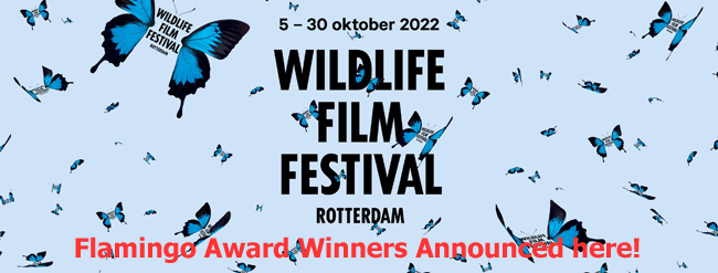 Wildlife Film Festival Rotterdam 2022 Winners Announced!