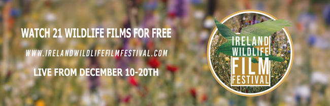 Ireland Wildlife Film Festival - 2021