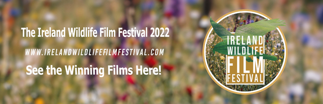 Ireland Wildlife Film Festival - 2022