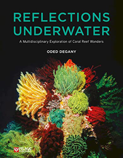 Reflections Underwater: A Multidisciplinary Exploration of Coral Reef Wonders