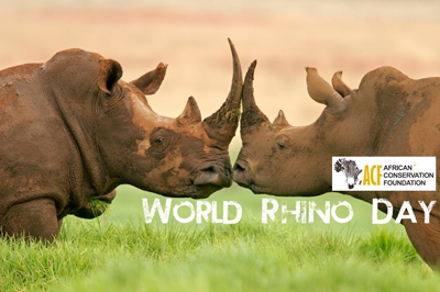 African Conservation Foundation - World Rhino Day