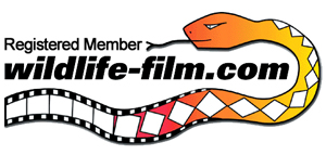 Wildlife-film.com Logo
